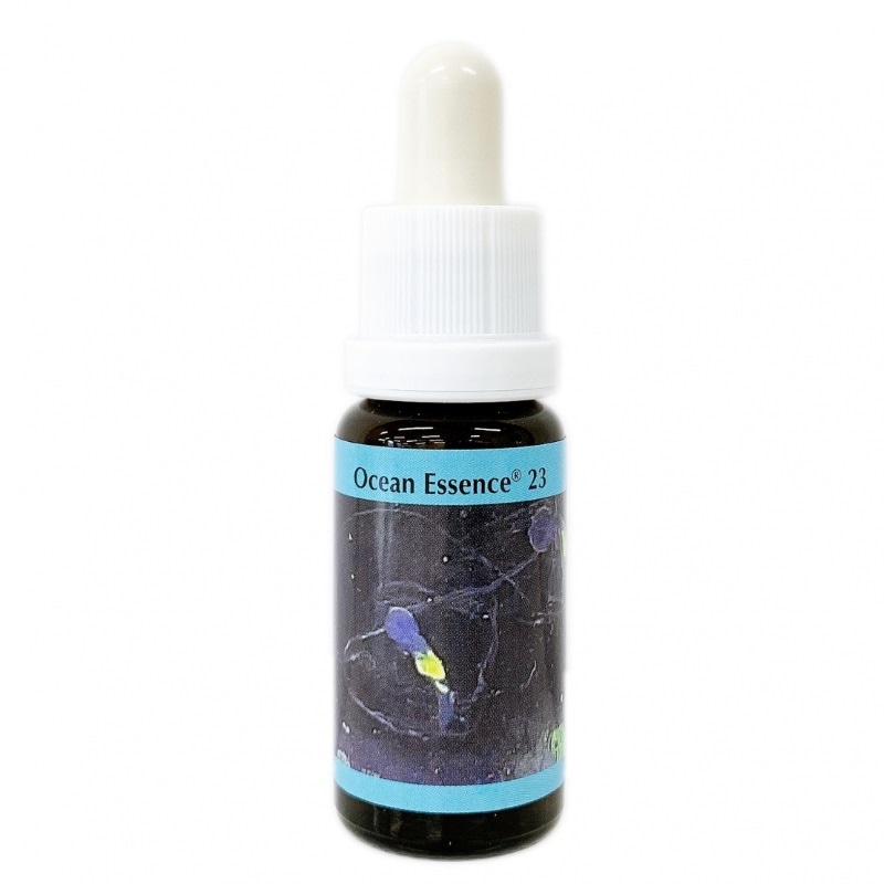 オーシャンエッセンス No23《コルテPHIエッセンス》15ml