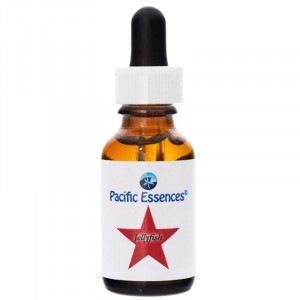 �����꡼�ե��å���ԥѥ��ե��å����å��󥹡�25ml�ڢ��缡30ml�������ѹ��Ȥʤ�ޤ���