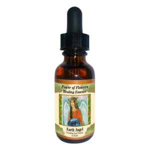 ���������󥸥���֥��ɡԥѥ���֥ե��ҡ���󥰥��å��󥹡�30ml