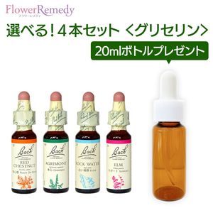 Хåեǥ ꥻ١(10ml)٤4ܥåȡڥȥ꡼ȥȥܥȥ 20ml1ܤʤץ쥼ȡ