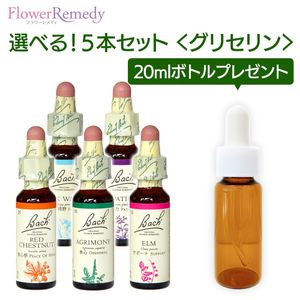 Хåեǥ ꥻ١(10ml)٤5ܥåȡڥȥ꡼ȥȥܥȥ 20ml1ܤʤץ쥼ȡ