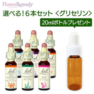 Хåեǥ ꥻ١(10ml)٤6ܥåȡڥȥ꡼ȥȥܥȥ 20ml1ܤʤץ쥼ȡ