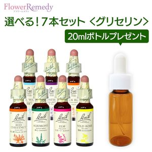 Хåեǥ ꥻ١(10ml)٤7ܥåȡڥȥ꡼ȥȥܥȥ 20ml1ܤʤץ쥼ȡ