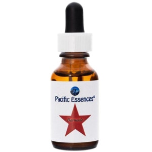 �С��ʥ���ԥѥ��ե��å����å��󥹡�25ml�ڢ��缡30ml�������ѹ��Ȥʤ�ޤ���