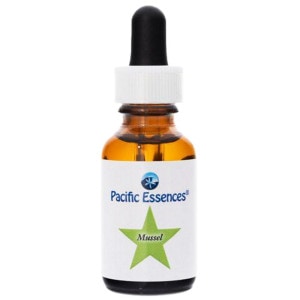 �ޥ��� �ԥѥ��ե��å����å��󥹡�30ml