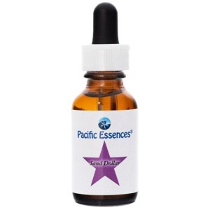 ����ɥ��顼 �ԥѥ��ե��å����å��󥹡�30ml