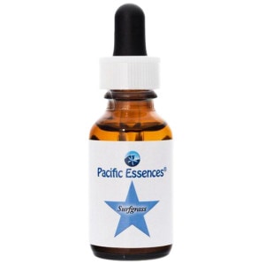 �����ե��饹 �ԥѥ��ե��å����å��󥹡�25ml�ڢ��缡30ml�������ѹ��Ȥʤ�ޤ���