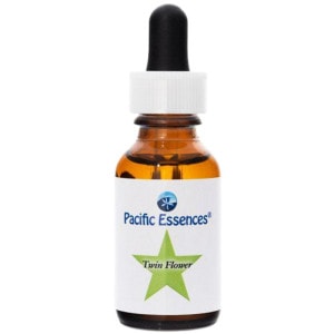 �ĥ���ե��ԥѥ��ե��å����å��󥹡�25ml�ڢ��缡30ml�������ѹ��Ȥʤ�ޤ���