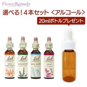 Хåեǥ 륳١(20ml)٤4ܥåȡڥȥ꡼ȥȥܥȥ 20ml1ܤʤץ쥼ȡ