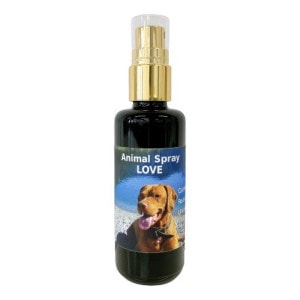 ���˥ޥ륹�ץ졼 ��֡ԥ����PHI���å��󥹡�50ml