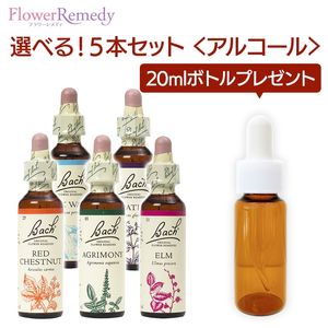 Хåեǥ 륳١(20ml)٤5ܥåȡڥȥ꡼ȥȥܥȥ 20ml1ܤʤץ쥼ȡ