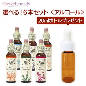Хåեǥ 륳١(20ml)٤6ܥåȡڥȥ꡼ȥȥܥȥ 20ml1ܤʤץ쥼ȡ