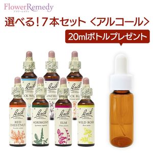 Хåեǥ 륳١(20ml)٤7ܥåȡڥȥ꡼ȥȥܥȥ 20ml1ܤʤץ쥼ȡ