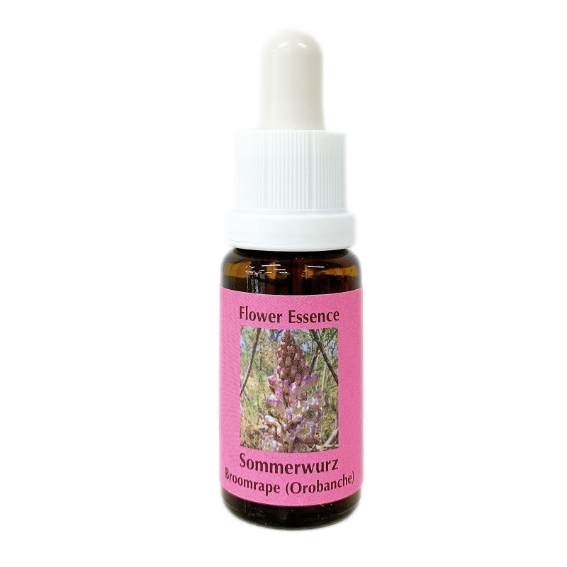 オロバンケ《コルテPHIエッセンス》15ml｜フラワーレメディ【公式】