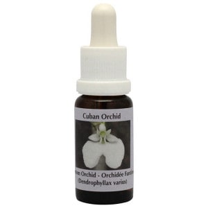 եȥ४åɡԥPHIå󥹡15ml