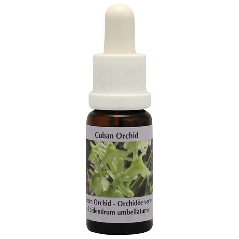 グリーンオーキッド《コルテPHIエッセンス》15ml｜フラワーレメディ