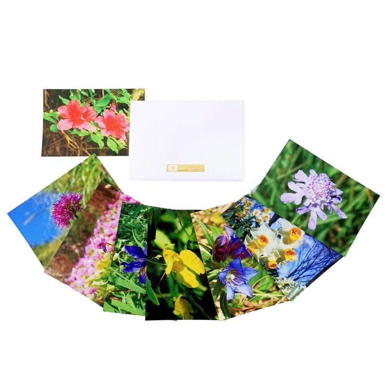 リサーチエッセンス花写真カードボックス《ファーイースト