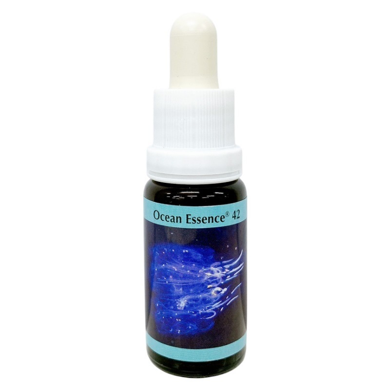 【専用】オーシャンエッセンス No.36 PHIエッセンス　フラワーエッセンス他 オーシャンエッセンス No42《コルテPHIエッセンス》15ml｜フラワー