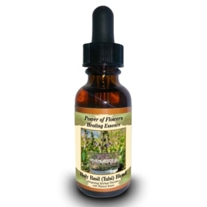 �ۡ��꡼�Х���ʥȥ��륷���˥֥��ɡԥѥ���֥ե��ҡ���󥰥��å��󥹡�30ml