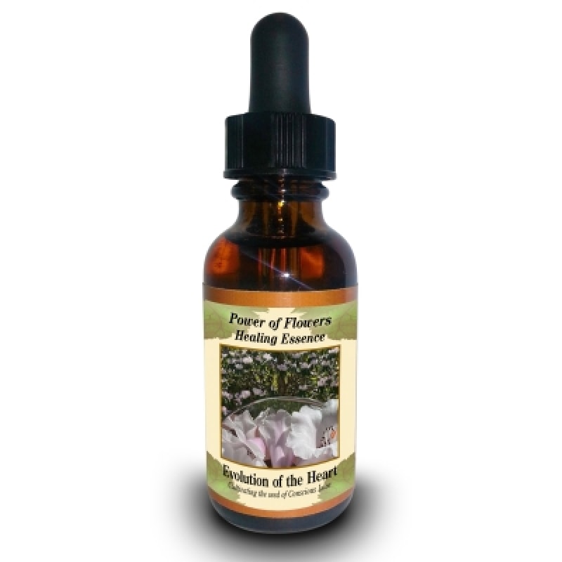 シルバーソード 30ml パワーオブフラワーヒーリング