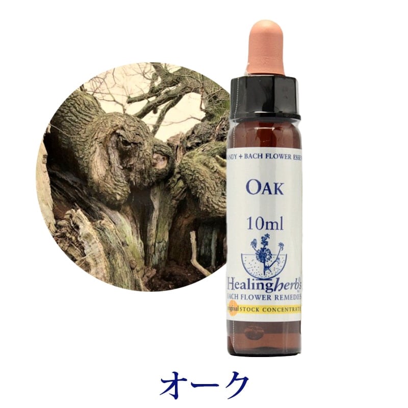 【取寄せ品】オーク《ヒーリングハーブス》10ml【※順次新ラベルに変更となります】