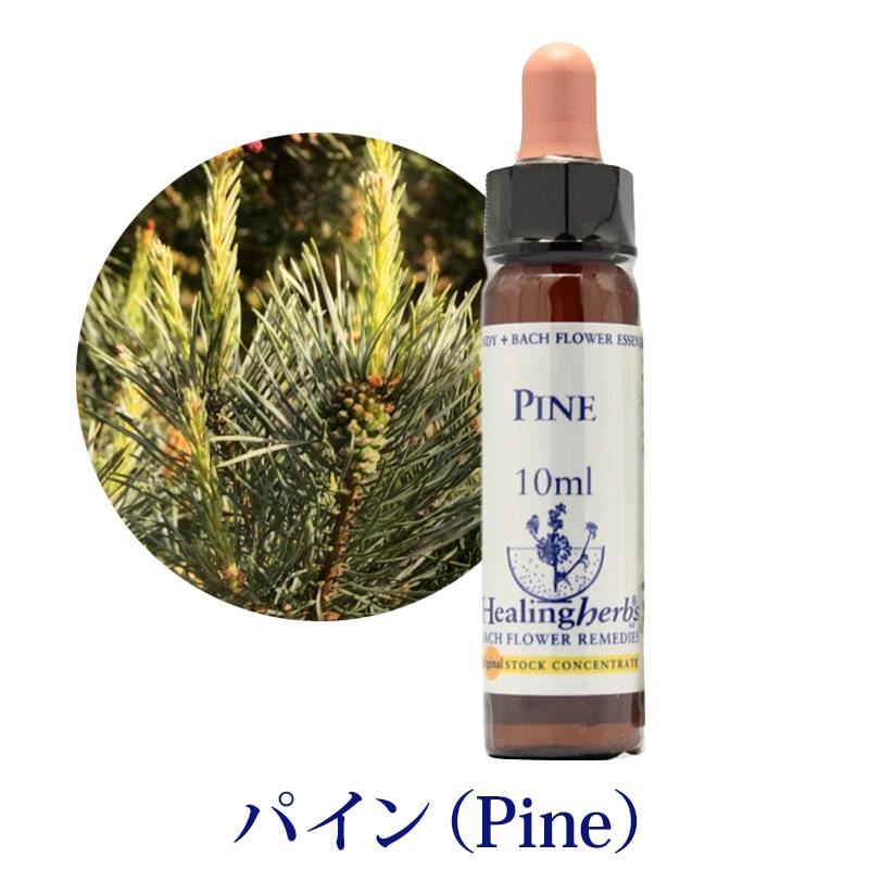 パイン（Pine）《ヒーリングハーブス》10ml｜フラワーレメディ《公式店》