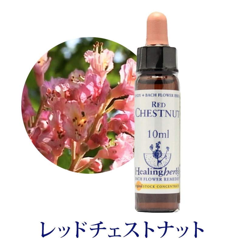 【取寄せ品】レッドチェストナット《ヒーリングハーブス》10ml【※順次新ラベルに変更となります】