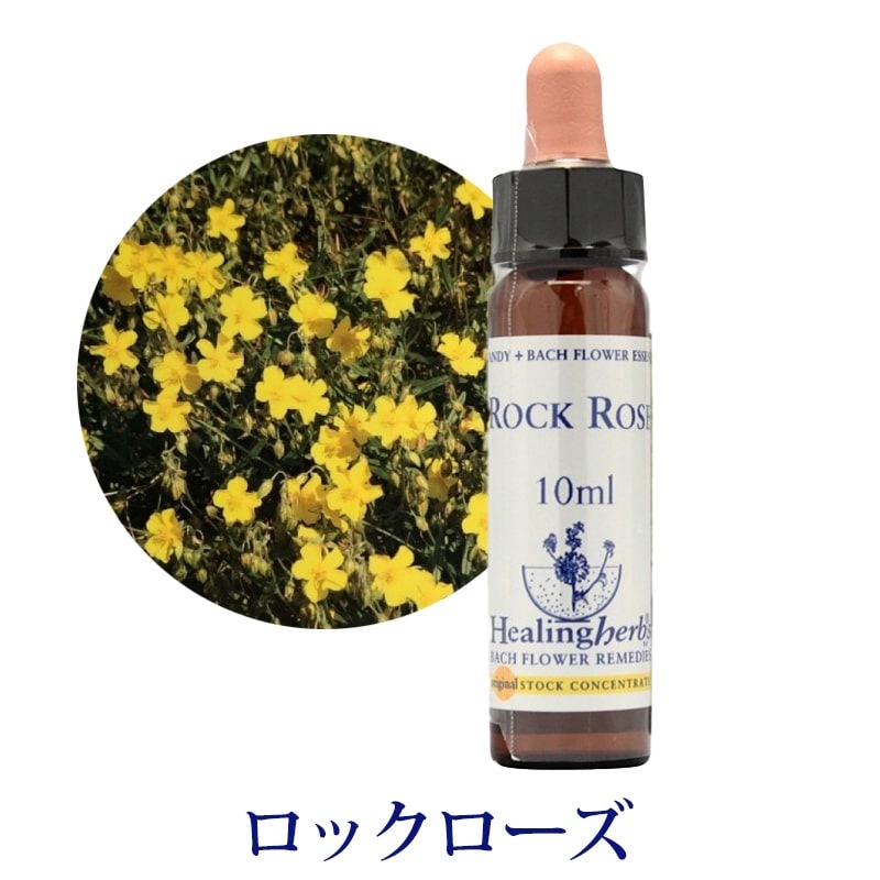 【取寄せ品】ロックローズ《ヒーリングハーブス》10ml【※順次新ラベルに変更となります】