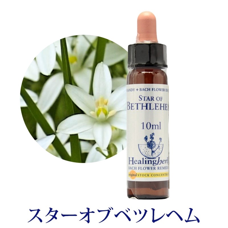 【取寄せ品】スターオブベツレヘム《ヒーリングハーブス》10ml【※順次新ラベルに変更となります】
