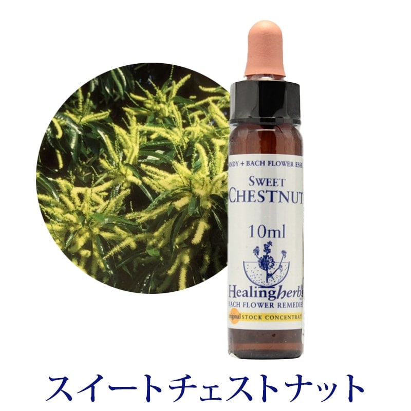 【取寄せ品】スイートチェストナット《ヒーリングハーブス》10ml【※順次新ラベルに変更となります】