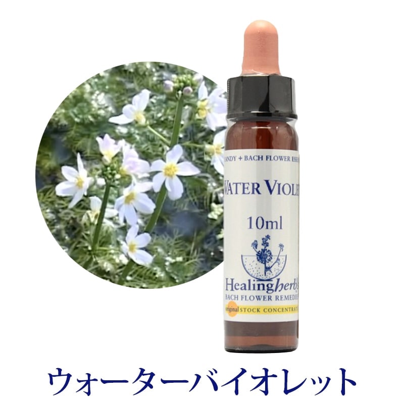 【取寄せ品】ウォーターバイオレット《ヒーリングハーブス》10ml【※順次新ラベルに変更となります】