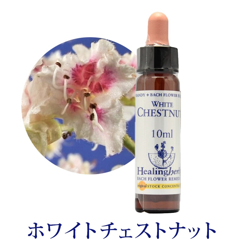 取寄せ品】ホワイトチェストナット《ヒーリングハーブス》10ml【※順次
