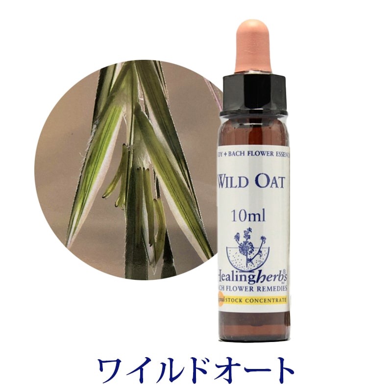 【取寄せ品】ワイルドオート《ヒーリングハーブス》10ml【※順次新ラベルに変更となります】