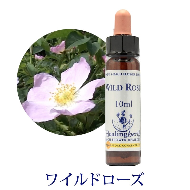 取寄せ品】ワイルドローズ《ヒーリングハーブス》10ml【※順次新ラベル