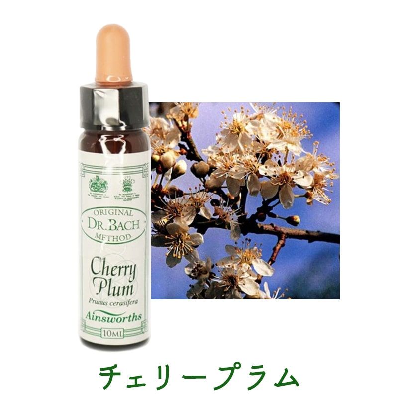 チェリープラム《エインズワース》10ml｜フラワーレメディ《公式店》