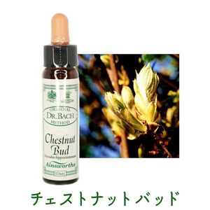 【即購入歓迎】エインズワース社　バッチフラワー　10ml 即購入歓迎】エインズワース社 バッチフラワー 10ml 未使用37本