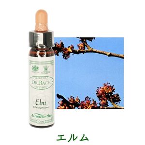 �����ԥ����󥺥����10ml
