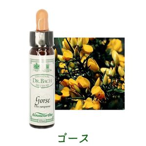 エインズワースバッチフラワーエッセンス｜フラワーレメディ【公式】