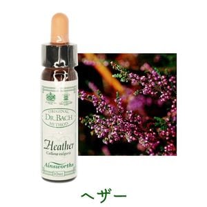 �إ����ԥ����󥺥����10ml