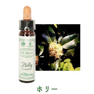 エインズワース　フラワーエッセンス　バッチフラワー　セット エインズワースフラワーエッセンス — ネイチャーワールド