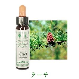 �顼���ԥ����󥺥����10ml