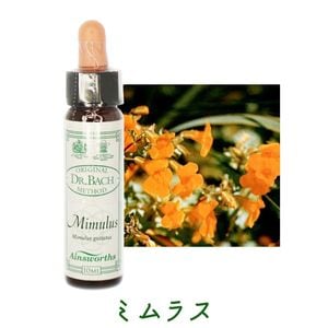 【即購入歓迎】エインズワース社　バッチフラワー　10ml 即購入歓迎】エインズワース社 バッチフラワー 10ml 未使用37本