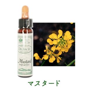 �ޥ������ɡԥ����󥺥����10ml