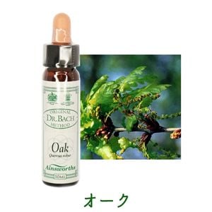 �������ԥ����󥺥����10ml