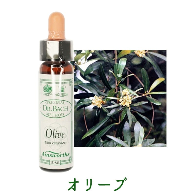 【即購入歓迎】エインズワース社　バッチフラワー　10ml 即購入歓迎】エインズワース社 バッチフラワー 10ml 即購入歓迎