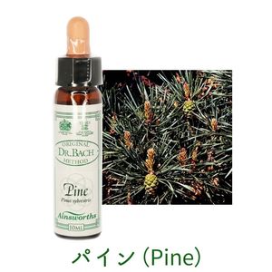 �ѥ����Pine�ˡԥ����󥺥����10ml