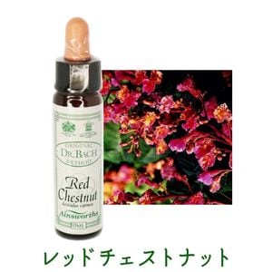 ��åɥ������ȥʥåȡԥ����󥺥����10ml