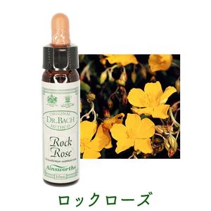 ���å��������ԥ����󥺥����10ml