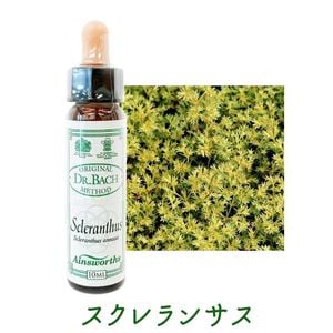 �������󥵥��ԥ����󥺥����10ml