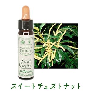 �������ȥ������ȥʥåȡԥ����󥺥����10ml